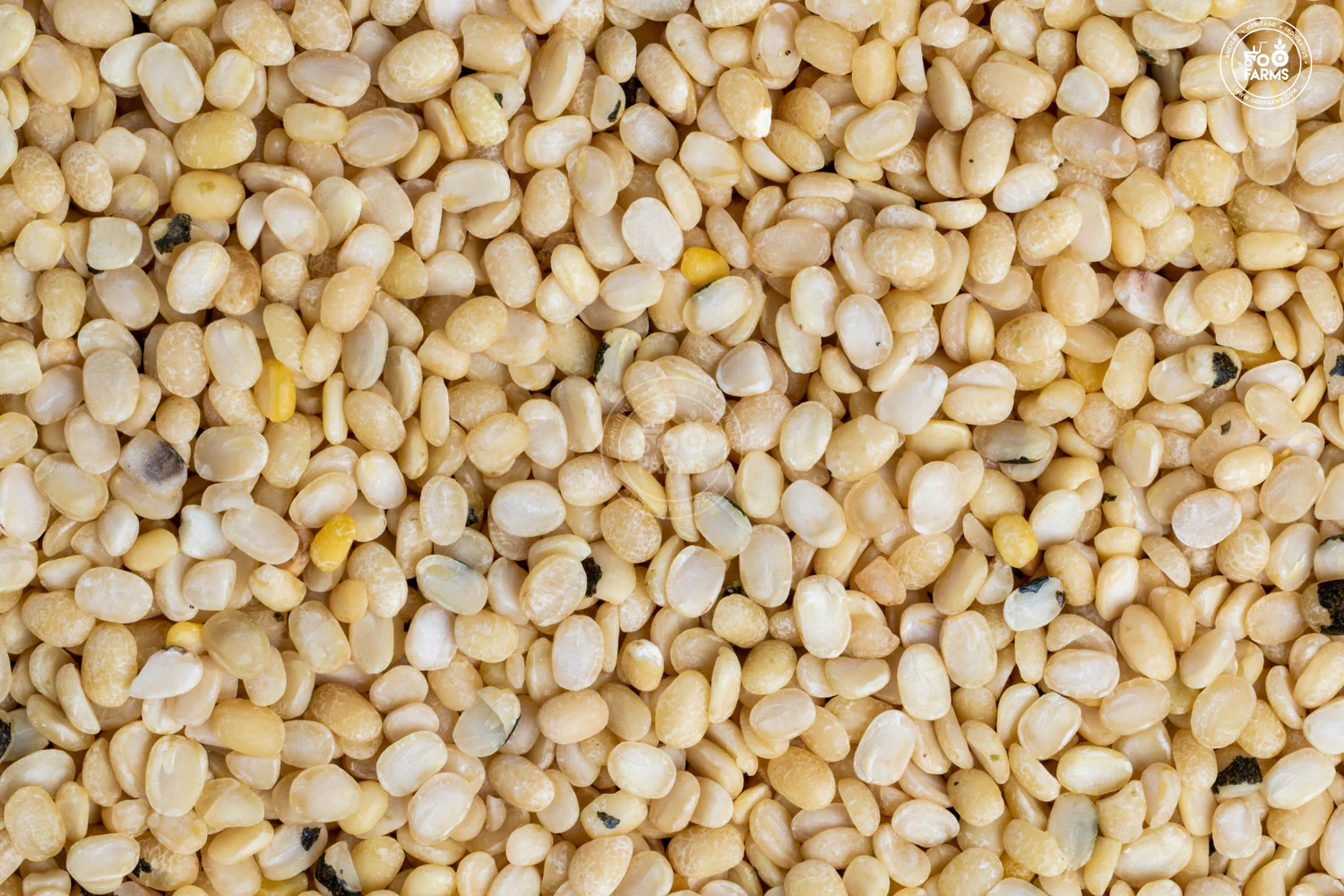 Urad Dal split Unpolished