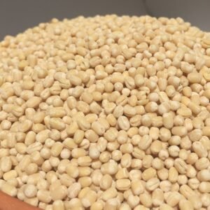 Urad Dal whole Organic unpolished